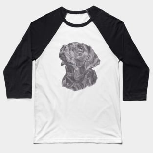 Classic Labrador Retriever Dog Profile Drawing Baseball T-Shirt